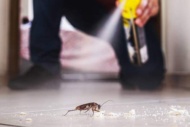 Best Affordable Pest Control Services  in Satellite Beach, FL